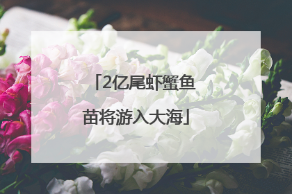 2亿尾虾蟹鱼苗将游入大海